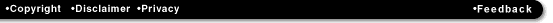 footer_sub_right.gif (1747 bytes)